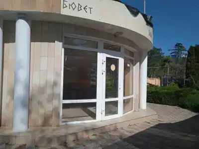 Янтарь - 33