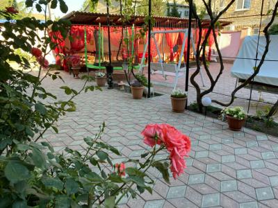 Deniz Company - 5