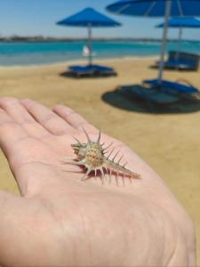 Alf Leila Wa Leila - Albatros 1001 Nights - 35