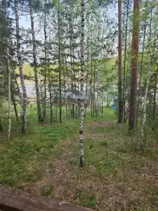 Межгорье - 41