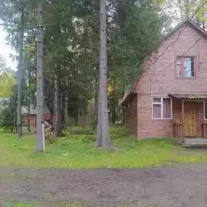 Конни - 14
