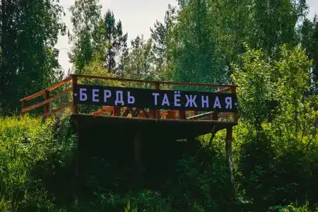 Таёжник - 17