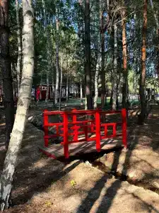 Липландия - 24