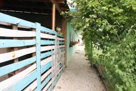 Прелестная лягушка - 4