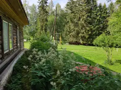 Медовый хуторок - 1