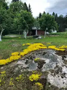 Хуторок у Сан Саныча - 6