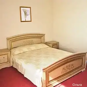 Пансионат Ольга - 9