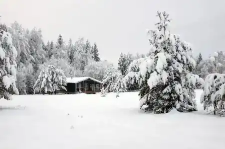 Лесной Терем Асташово - 13