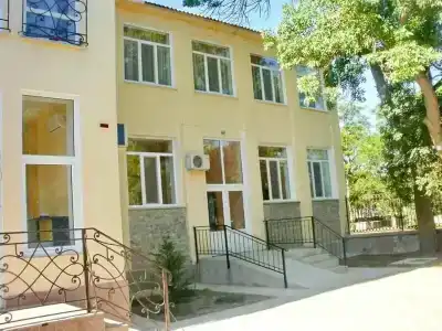 Кипарис - 40