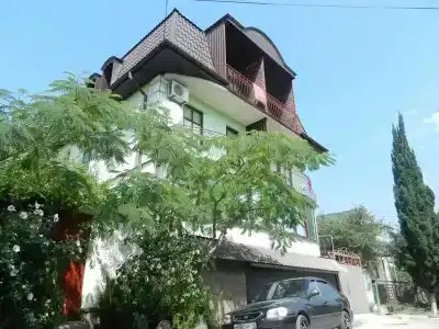 Виола - 31