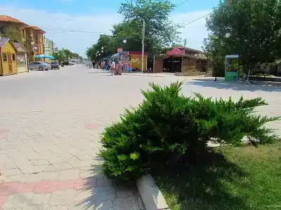 у Алины - 20