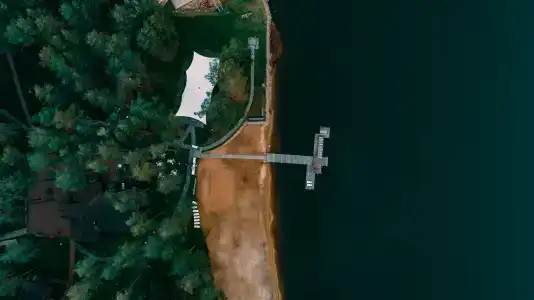 Шишки - 45