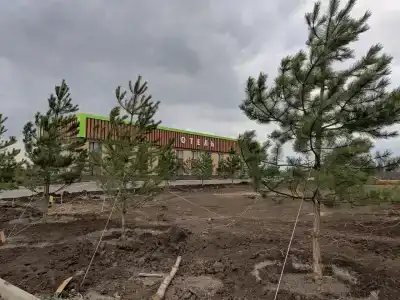 Транспарк - 63
