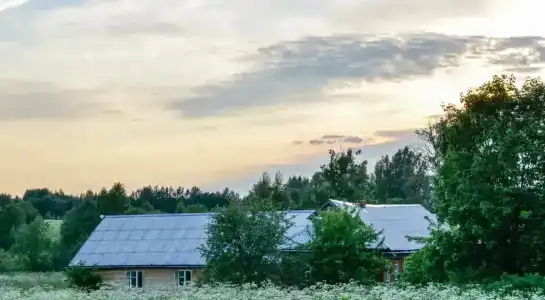 Алексеевское - 35