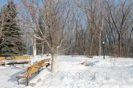 Соловьиные зори - 4