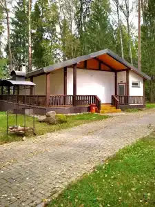 Серебряный родник - 31