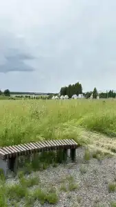 Спа-Сад Растущих Камней - 29