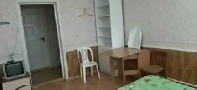 Дельфин - 20
