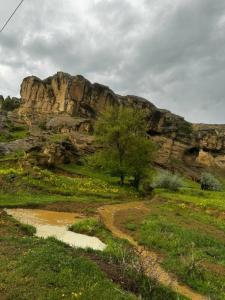 Aragvi - 32