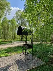 Молодильные сады - 12