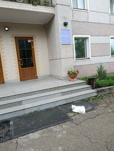 Фиолент - 40