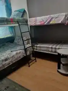 Феникс - 49