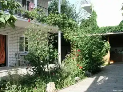 Михалыч - 33