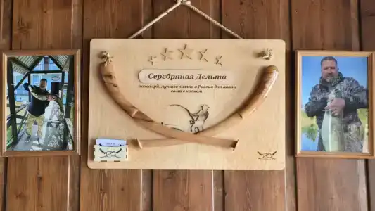 Плавучая гостиница Серебряная Дельта - 9