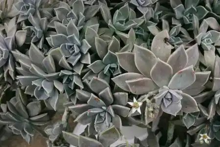 Oasis Eco-House - 20