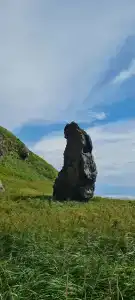 Ларга - 14
