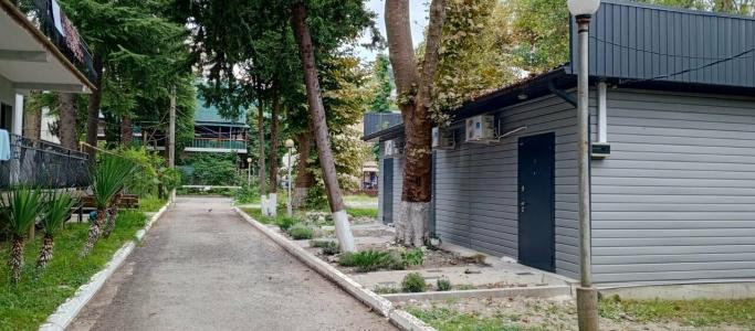 Платан - 5