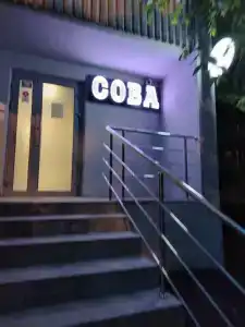 Сова на Авангардной - 5