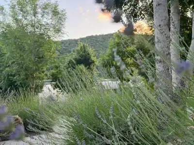 Бархатная гора - 30