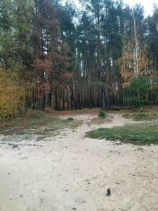 Динамо - 47