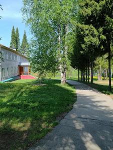 Сокол - 13