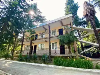 Платан - 41