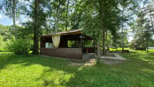 Зеленая роща - 48