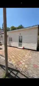 Платан - 38