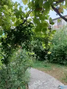 Яна - 31
