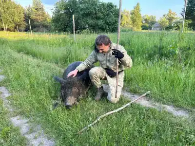 В гостях у Лешего - 26
