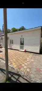 Платан - 35