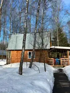 Voronovo Village - 35