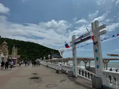 Чайка - 1