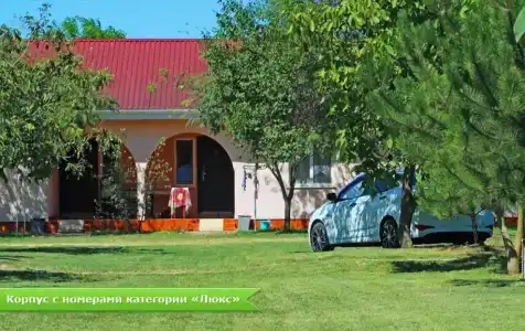 Лилия - 37