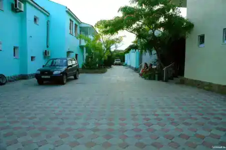 Соленый пес - 11