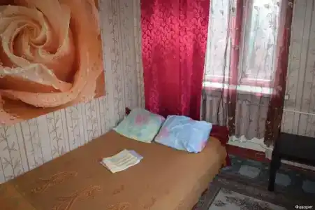 Фаворит - 18