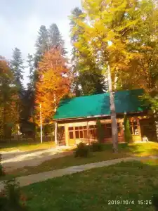 Лесной дом - 16