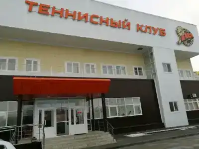 Лев - 11