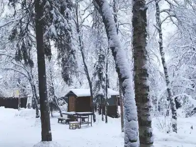 Сатка - 6