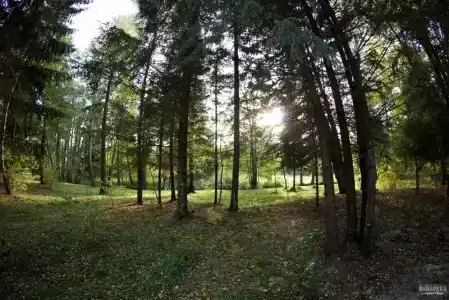 Грахевка Village - 47